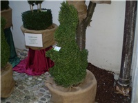 e1301cb5-Picture 3419.jpg